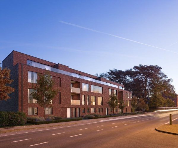 AMS_1437_LLY_PRO_20191217_Beeld_B-1