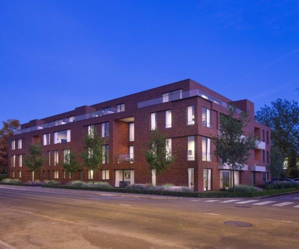 AMS_1437_LLY_PRO_20191217_Beeld_C-1